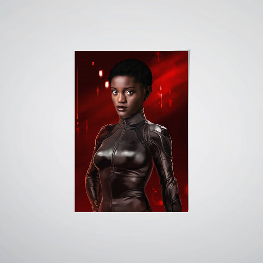 The Cat Lady - Custom Poster